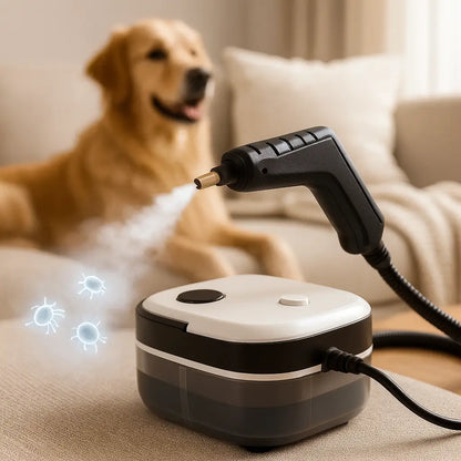 Ατμοκαθαριστής Υψηλής Πίεσης 2500W